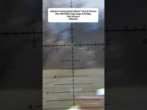 Can your air rifle do this? Extreme Airgun Shooting - Long range 300 yards with an Air Rifle.