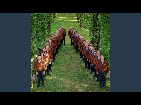 Sotto le tue finestre