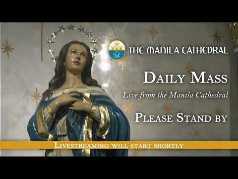 Daily Mass at the Manila Cathedral - November 05, 2021 (7:30am)