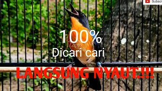 Download lagu TLEDEKAN GUNUNG GACOR, UNTUK PANCINGAN TLEDEKAN MACET. Part 2 #tledekangununggacor mp3 Download lagu TLEDEKAN GUNUNG GACOR, UNTUK PANCINGAN TLEDEKAN MACET. Part 2 #tledekangununggacor mp3