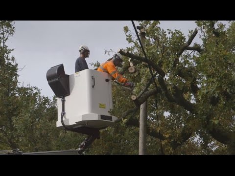 Electricity North West Dealing with Extreme Weather