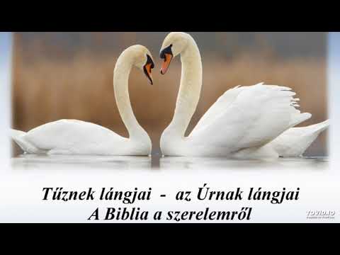 Hieronymus Praetorius: Quam pulchra es