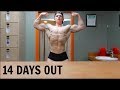 Ryeley Palfi | 15 years old PHYSIQUE UPDATE - 2 weeks out