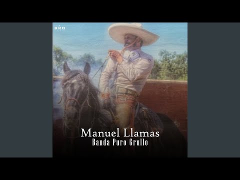 Manuel Llamas