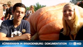 preview picture of video 'SKB HD | KÜRBISWAHN IN BRANDENBURG - DOKUMENTATION'