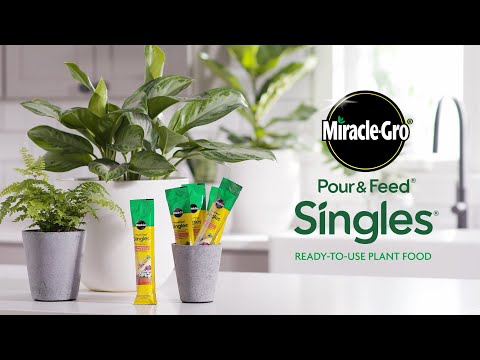 How to Use Miracle-Gro® Pour & Feed® Singles Ready-To-Use Plant Food