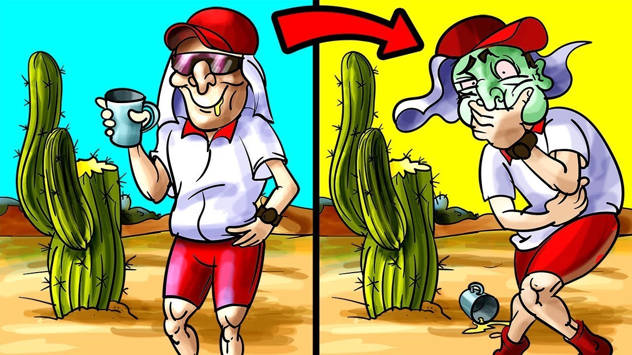 Mitos De Sobrevivência Que Podem Te Matar