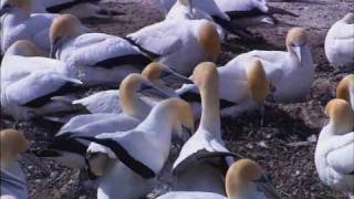 I&#39;m as mad as hell! and i just can&#39;t take it anymore