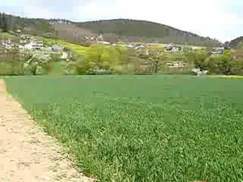 Bawean od Kovářovské hůrky