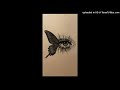 Olive - Liberty