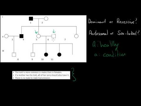 Autosomal or sex linked using pedigree charts