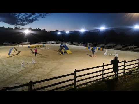 Zozi Open Agility, Open Jumping 2. hely / Limitke dis - Éjszakai verseny, Tés 2022.06. 25.