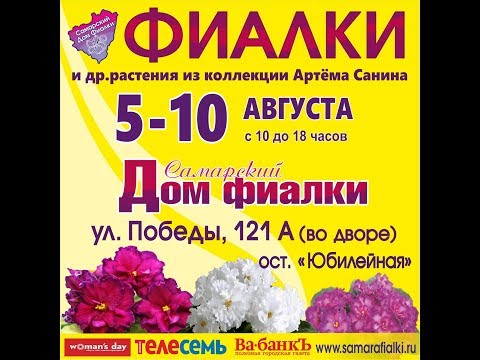 ВЫСТАВКА ФИАЛОК 5-10августа,Самарский Дом фиалки.