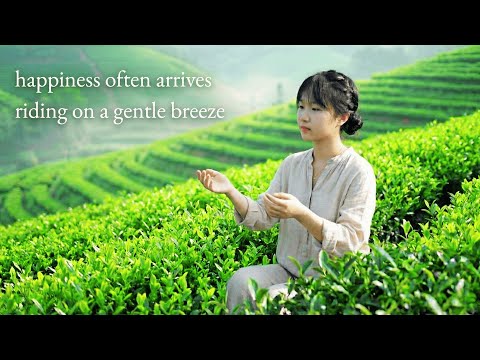 happiness often arrives riding on a gentle breeze.../a playlist for quiet hours/