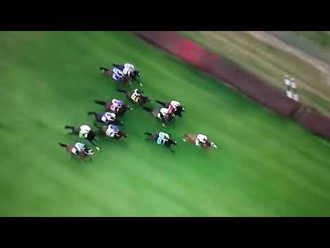 Breeders cup 2018 juvenile Turf sprint-Bulletin