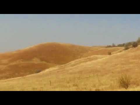 Агрохозяйство в Грачевском районе Ставропольского края