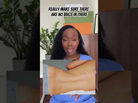 Understanding Bed Bugs and Effective Strategies for Eradication