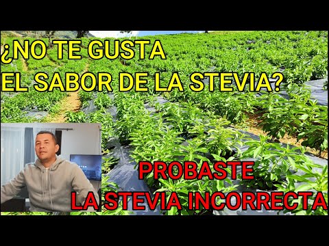, title : 'Características de Sabor de la Stevia'