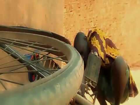 Abby Skillz feat Alinda   Dunia -- More at rubega.com