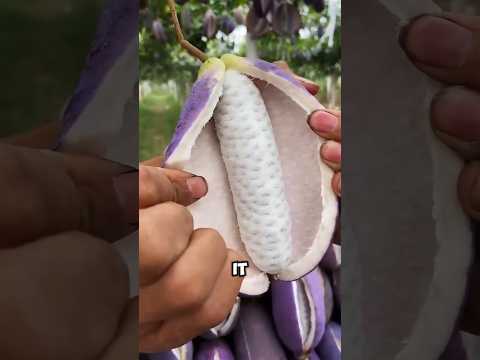 These 5 Rare Fruits Look Too Weird to Be Real 😳🍇