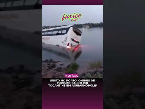 SUSTO NO PORTO: Ônibus de turismo cai no Rio Tocantins em Aguiarnópolis