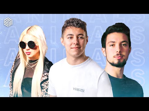 BASTL, Vinback & Sary - Animals