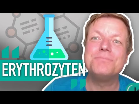 ❌💉ERYTHROZYTEN - BEDEUTUNG und NORMWERTE  (BLUTWERTE)
