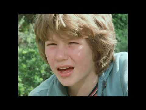 Fünf Freunde biem Wanderzirkus - Serie 1 Folge 6 - Fünf Freunde 1970's HQ