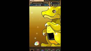 パズドラ　ゴットフェスの闇　確率敗け