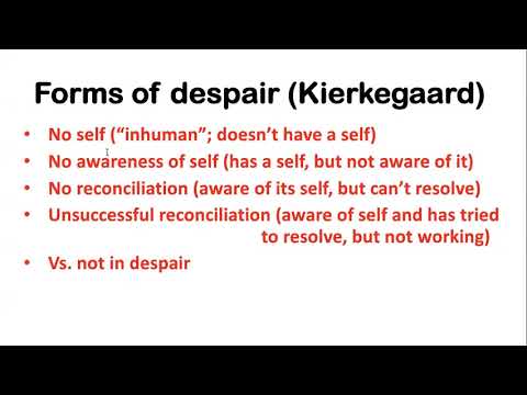 Dostoevsky The Brothers Karamazov: The Karamazov Condition (Lecture 19)