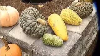 Garden Variety - Fall Planting Guide