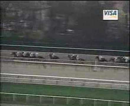 Fusaichi Pegasus- 2000 Wood Memorial