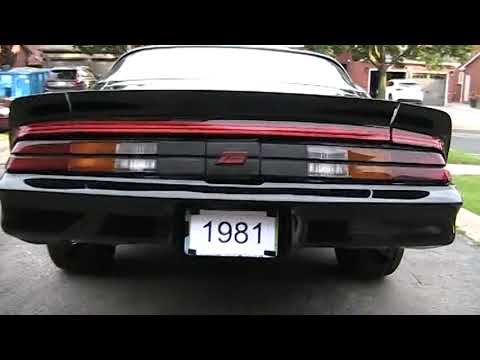 1981 Chevrolet Camaro Z28 EXHAUST CLIP