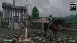 Cyrodill Daily News - Brave Rooster joins battle against Warrior Mage