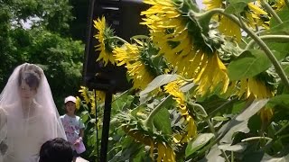 Ray Bryant Trio - Golden Earrings