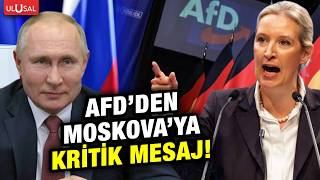 Almanya'da iktidara yürüyen AfD partisinden Rusya'ya kritik mesaj!