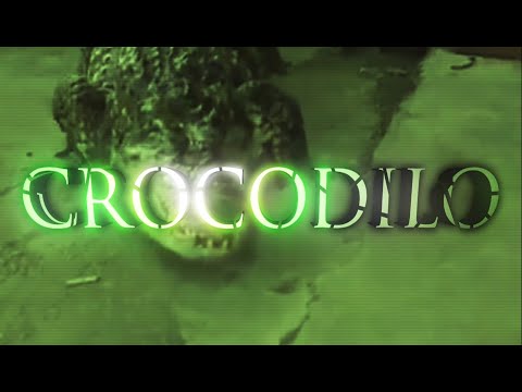 SEQUELA s.a - Crocodilo (prod. RZN) (Videoclipe)