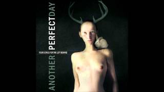 Another Perfect Day - Pour Some Hope