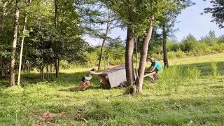 The Signs Are There || Hens on the Move & Peas in the Bucket || August 2025