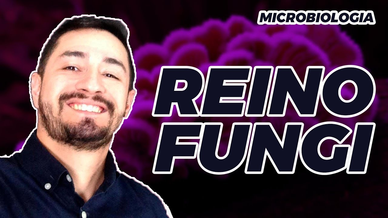 MICROBIOLOGIA | REINO FUNGI - Características Gerais