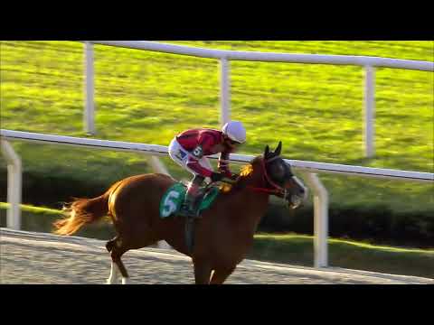 220529 c08 OLYMPIC LUGANO