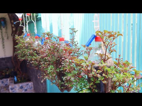 Amazing ideas for Making Flower Pot Recycling plastic Bottles into flower Pot