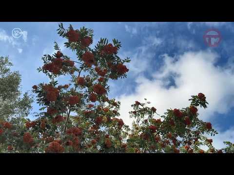 ☀️ Выходные порадуют приморцев летней погодой! 😎