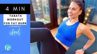 4 Minute Tabata for Fat Burn | Low Impact | No Jumping | Beginners