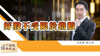 好股不受限於指數 (圖)