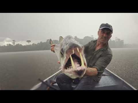 afbeelding Last of the Giants