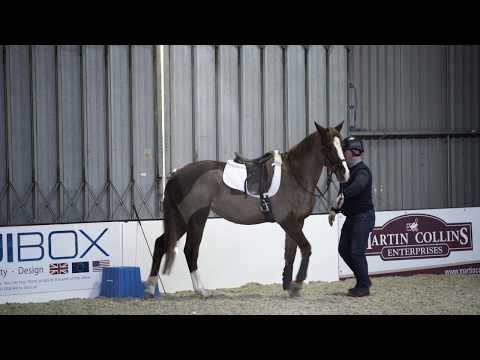 Horse refusing to stand at mounting block meets Richard Maxwell | Your Horse
