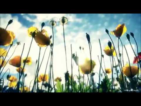 Solaris Inc. - Children (Cafe Buddha Del Mar Bar Mix)