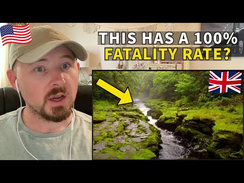 American Reacts to The Strid - Most Dangerous Stretch of River on Earth