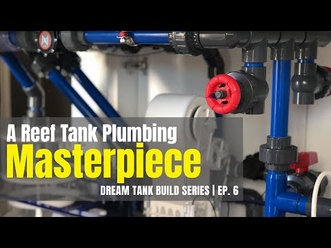 Dream Reef Tank Build Series | Ep. 6 | How I Plumbed My Reef Tank